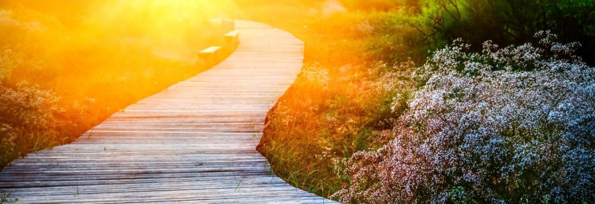 PATH